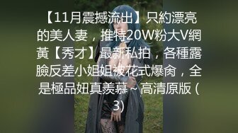 【11月震撼流出】只約漂亮的美人妻，推特20W粉大V網黃【秀才】最新私拍，各種露臉反差小姐姐被花式爆肏，全是極品妞真羨慕～高清原版 (3)