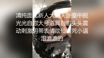 八块腹肌18大屌 狂草洛丽塔人妖