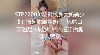 BJ叶林230827-1