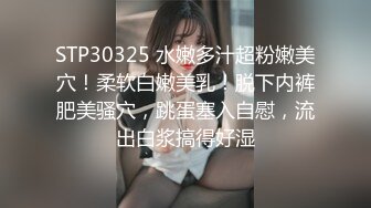 【重磅泄密✨onlyfans私拍】☀️netto5netto☀️▶▶肥仔绿帽奴妻子的放养日常 巨乳颜值身材双在线 Cosplay的风格多样《VO.10》