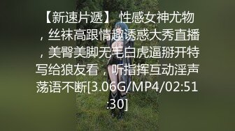 VMC-008(41VMC008)[H.M.P]若奥さん恥ずかし責め沖遙