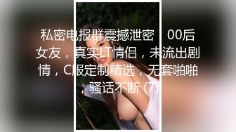 OYC-252 「我是笨女人吗？」当成证据没效力的偷拍强暴影像 啊啊今天也被侵犯了…。