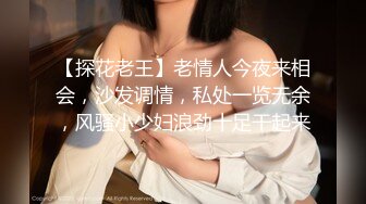 推女郎热门模特艾栗栗，性爱视频