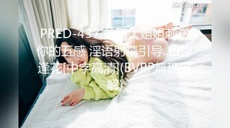 PRED-437 美丽大姐姐刺激你的五感 淫语射精引导..山岸逢花[中字高清](BVPP無碼破解)