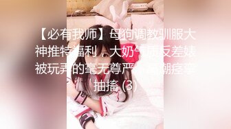 ❤️巅峰女神顶级精盆❤️颜值身材天花板级 在外端庄喜欢温柔女神私下是爸爸的玩物 穷人的女神富人的精盆 被金主各种啪啪蹂躏 (3)