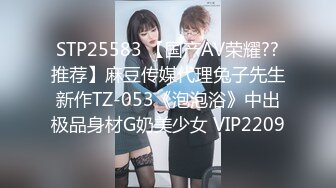 漆黑的射干 3 DIRECTOR版