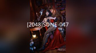 [2048]SONE-047