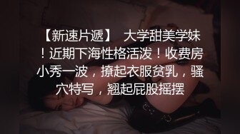 拽头发疯狂后入情趣内衣小母狗