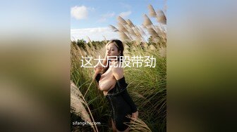 丰满自然豪乳肥臀亚裔妹李淑娟火爆三通超级大屁股