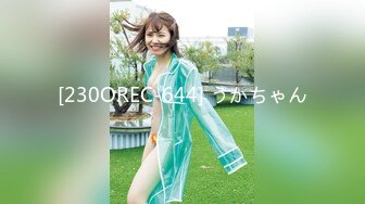 HND-329 挿入とフェラを繰り返す生しゃぶり中出し美少女 椎名そら