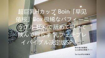 超巨乳Hカップ Boin「早见依桜」Box 极稀なパフィーニップル 揉んで舐めて吸って挟んで揺らす 乳フェチプレイバイブル决定版SP！！