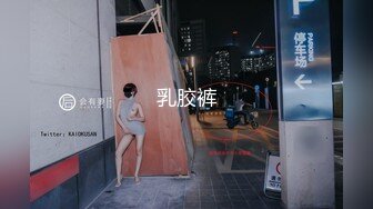 星空无限传媒 xkga-003 温柔女上司床上秒变骚气女-欣欣