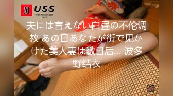 夫には言えない白昼の不伦调教 あの日あなたが街で见かけた美人妻は数日后… 波多野结衣