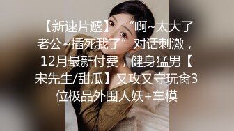 女仆装女奴的散鞭伺候