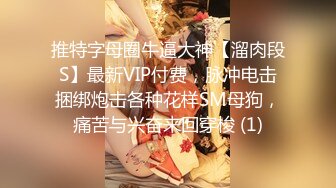 推特字母圈牛逼大神【溜肉段S】最新VIP付费，脉冲电击捆绑炮击各种花样SM母狗，痛苦与兴奋来回穿梭 (1)